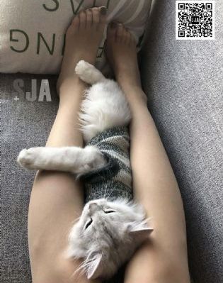 胆小鬼电影在线观看完整版免费